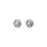 PENDIENTES GUESS LOGO BOULE