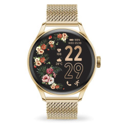 ICE SMART 2.0 - GOLD